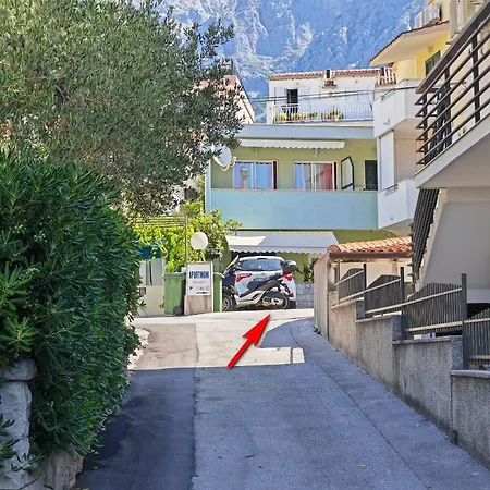 Cvjet * Makarska